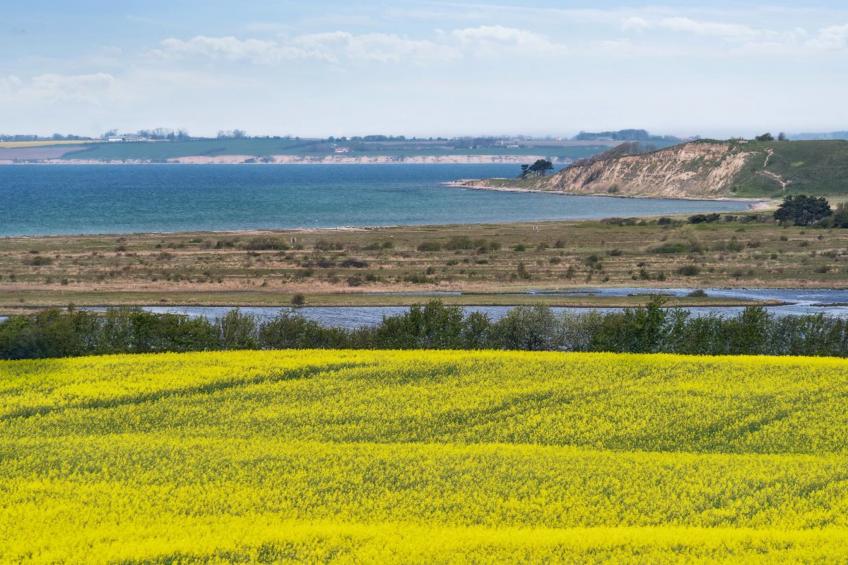 "Store" - 700m from the sea in Funen - foto 30