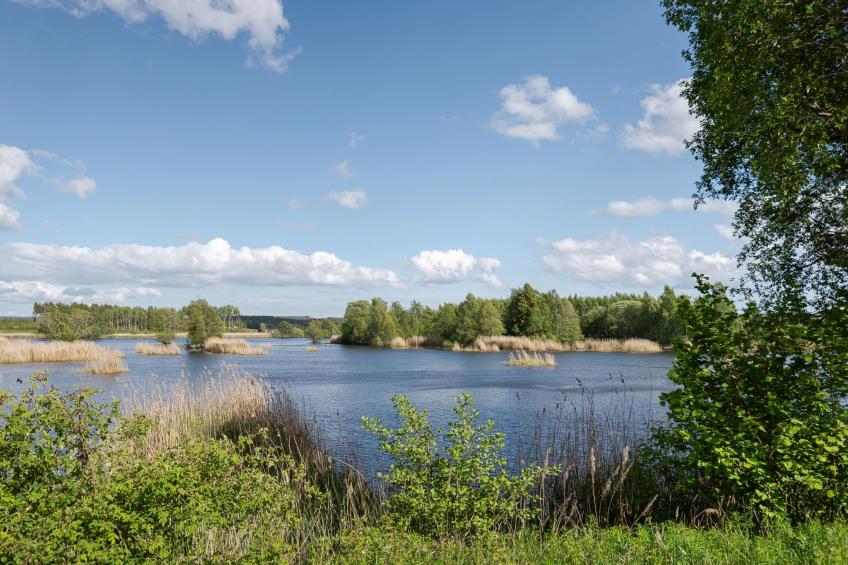 Harge Sörgård (NAK043) - foto 36