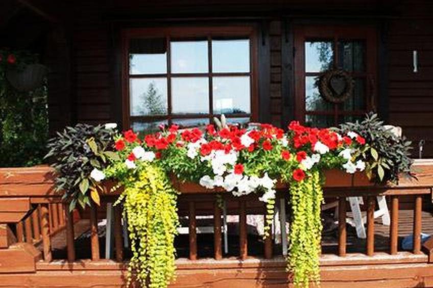 Kuivajärven huvilakoti - foto 39