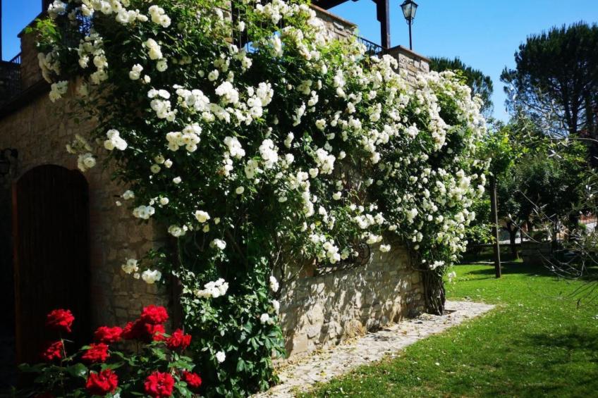 Altes Haus in Rotecastello mit großem Pool - foto 3