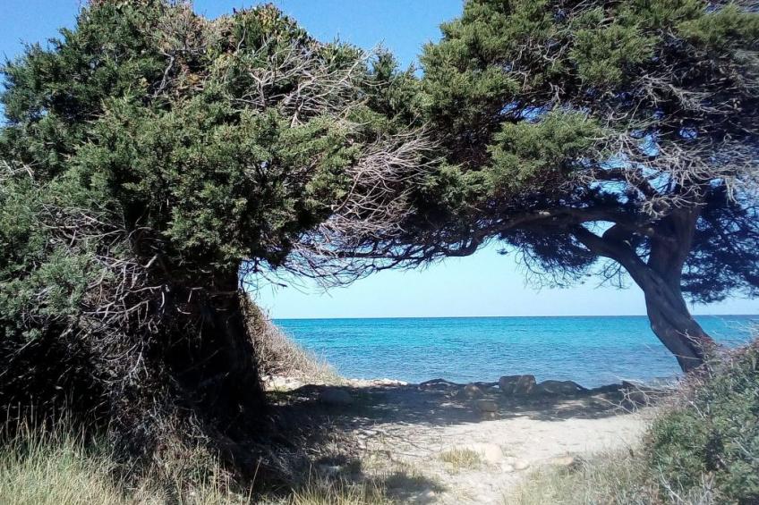 La Caletta Zentral - foto 8