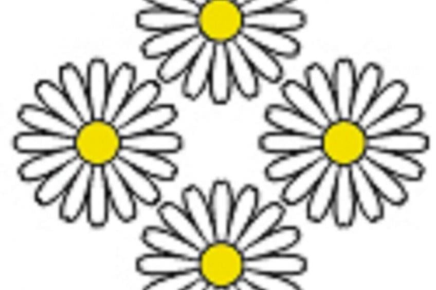 752660 - foto 11