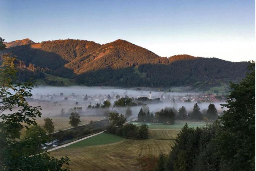 Sonnenblume - foto 27