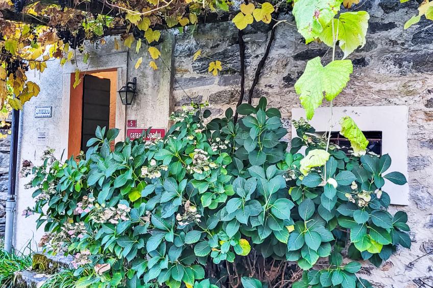 Casa Sambuco - foto 8