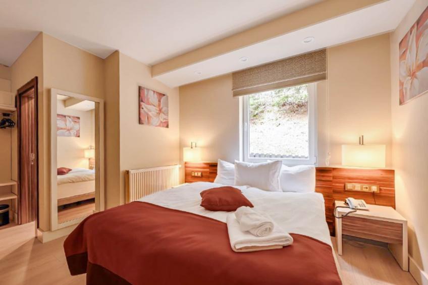 Schwarzbachtal - Double room Forest and Mountain View With balcony - foto 2