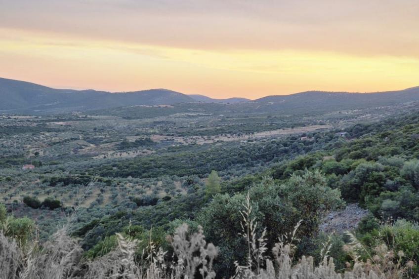 "Villa Newlands" - Pool, Meer und Inseln - foto 35