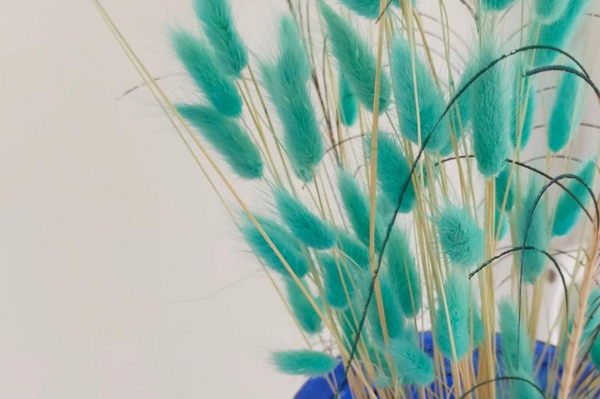 "La Maison du Quai" (Das Haus am Kai) - foto 30