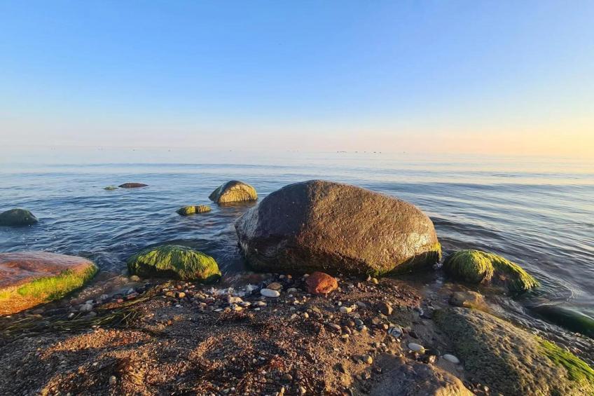 Appartementen Post Hiddensee, Vitte - Type A - foto 8