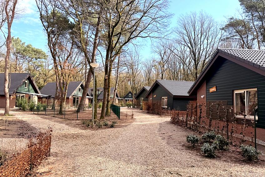 De Boshoeve - foto 2