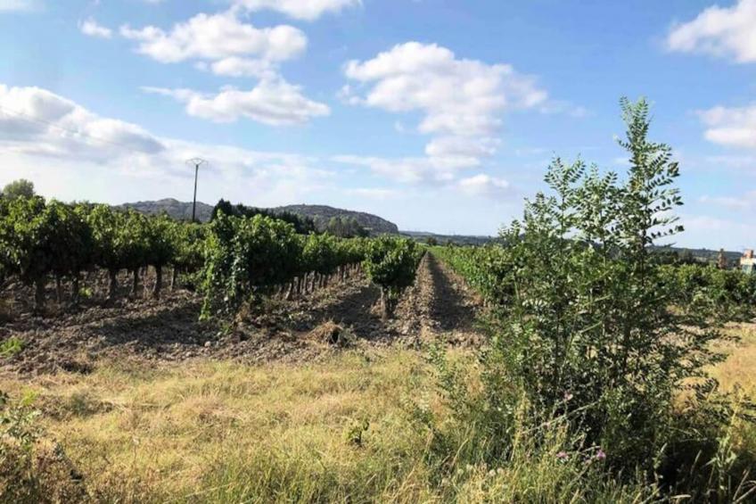 Maison Cosy Lodge, 15 P, Clim, Wifi, Cour, Garage - foto 16