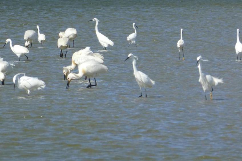 Résidence les Villas de la Baie - foto 36