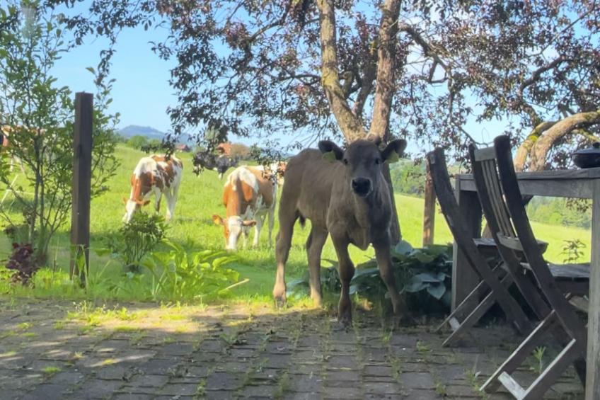 Rückzugsort mitten in der Natur - foto 5