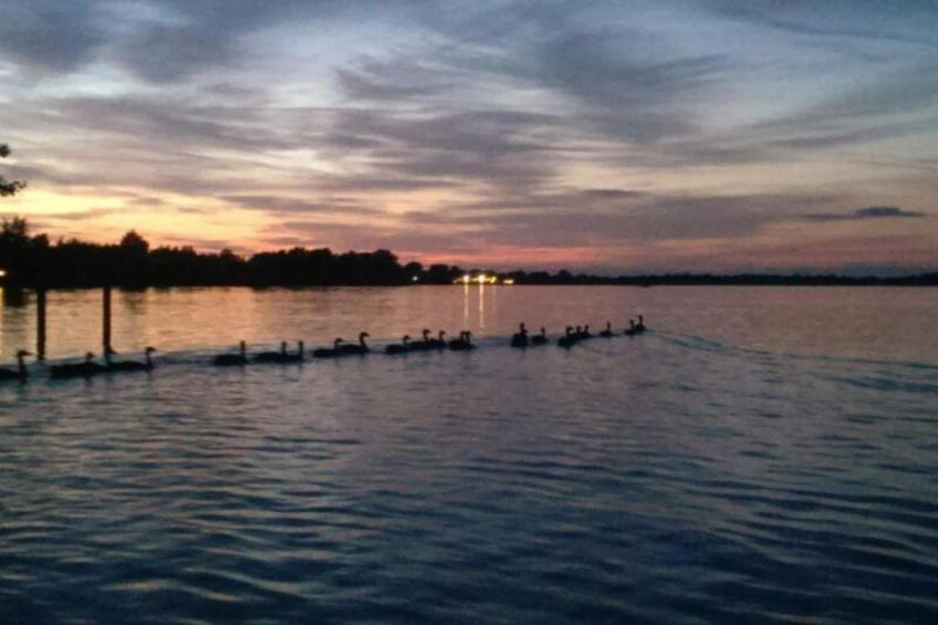 Waterpark Belterwiede - Type Gaarde - foto 34