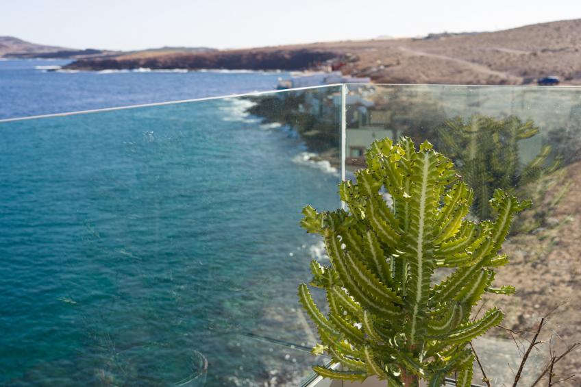 Tufia Marine Life by Canariasgetaway - foto 21