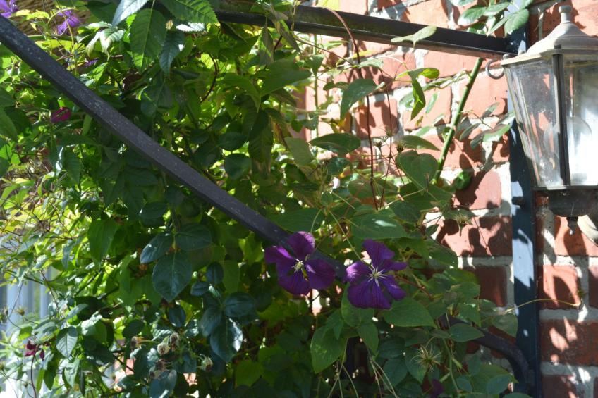 Finkenbusch - foto 6