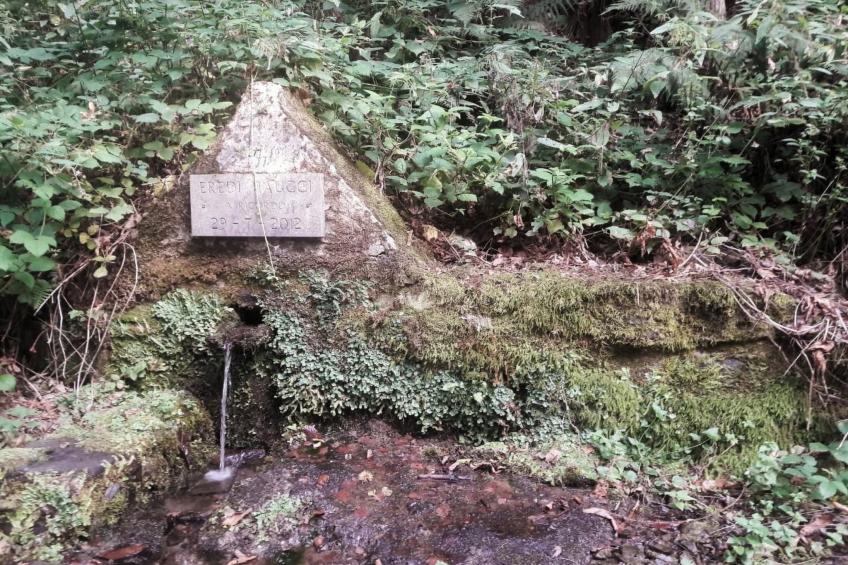 CasaMasa' Wohnung mit Bergblick - foto 33