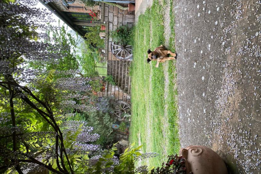 Casa Erika - foto 50