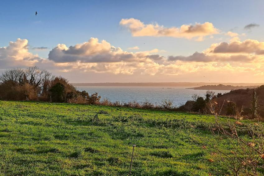 Granitsteinhaus in Guimaëc - foto 27