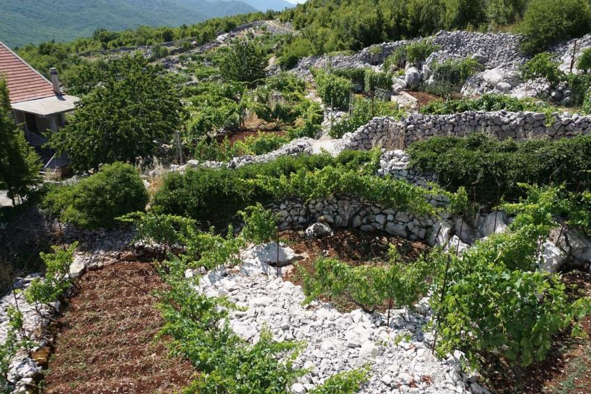 mit privatem Pool - foto 19