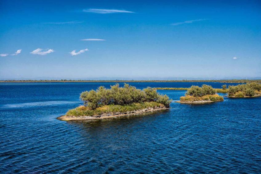 Vakantiewoning 100 m fino a spiaggia - VW-3DGF - foto 22