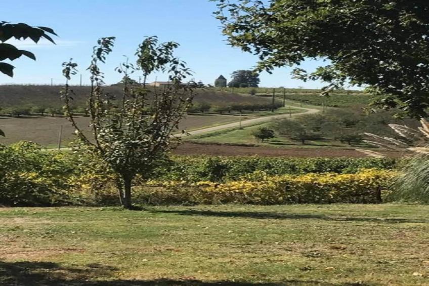 La Coquette - foto 35