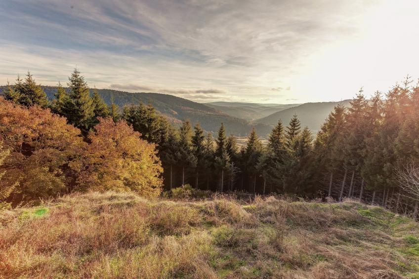 La Montagne - foto 36