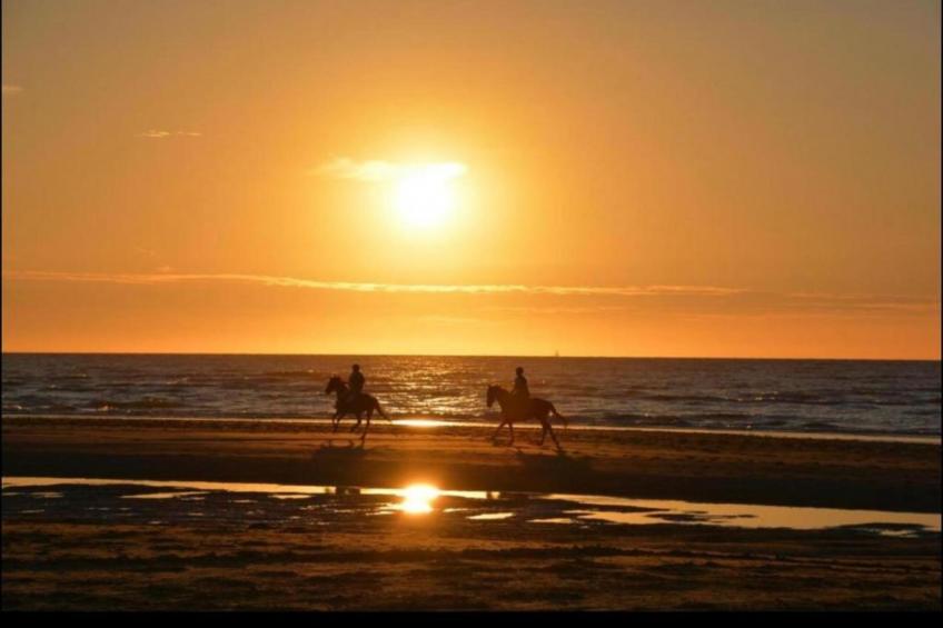 Rosalie 0301 3B - foto 22