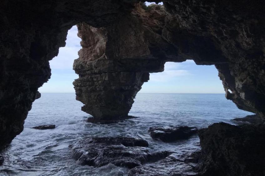 Finca Caballo Verde - foto 36