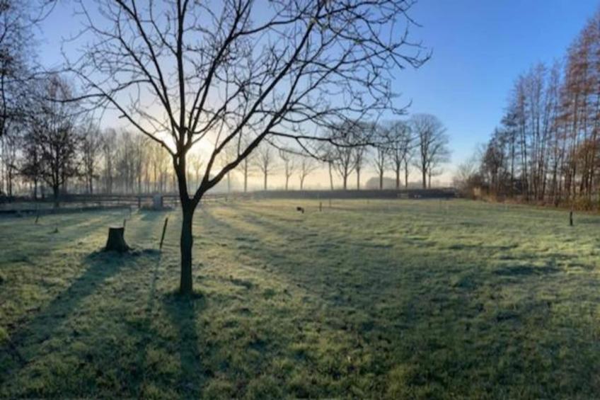 De Mattelier - foto 28