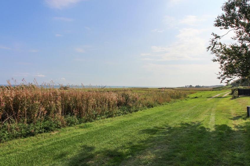 "Isalie" - 200m from the sea in NE Jutland - foto 12