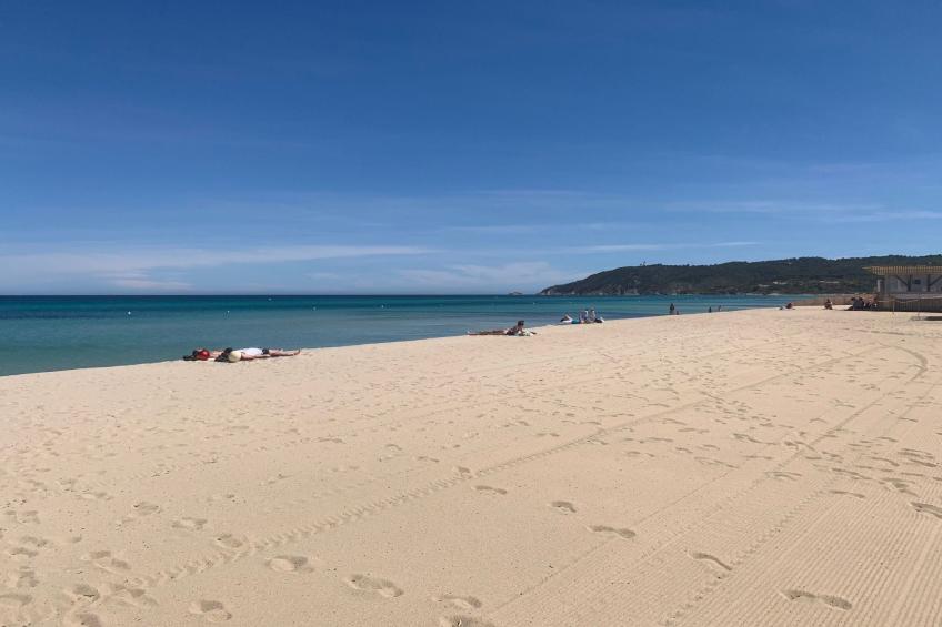 Le Palmier - foto 15