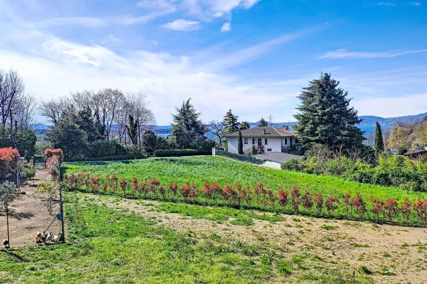 Ostendaise - foto 33