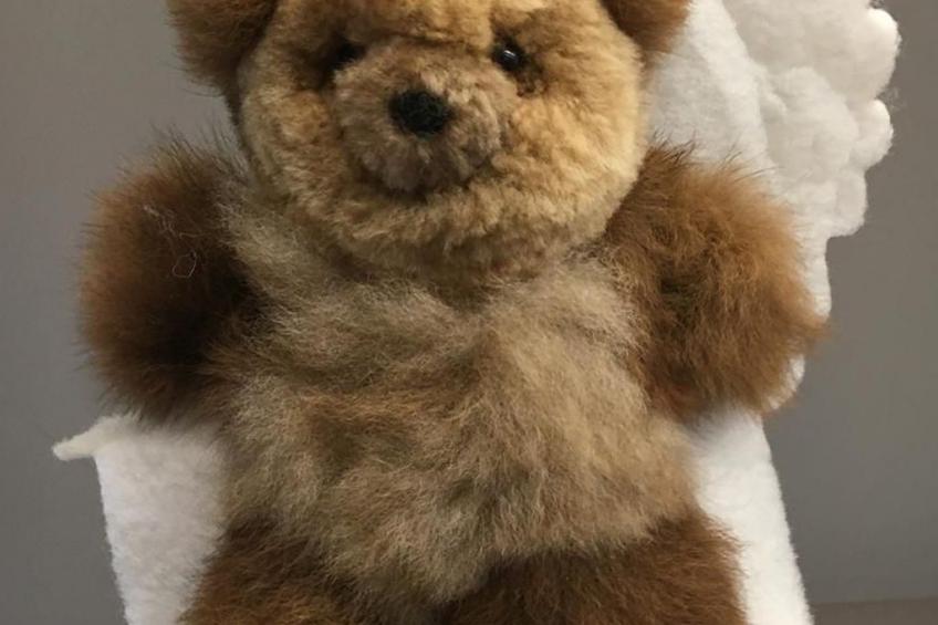 Alpakahof Ferien - foto 33