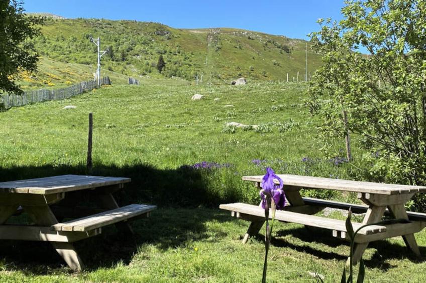 Appartements à Albepierre Bredons - foto 43