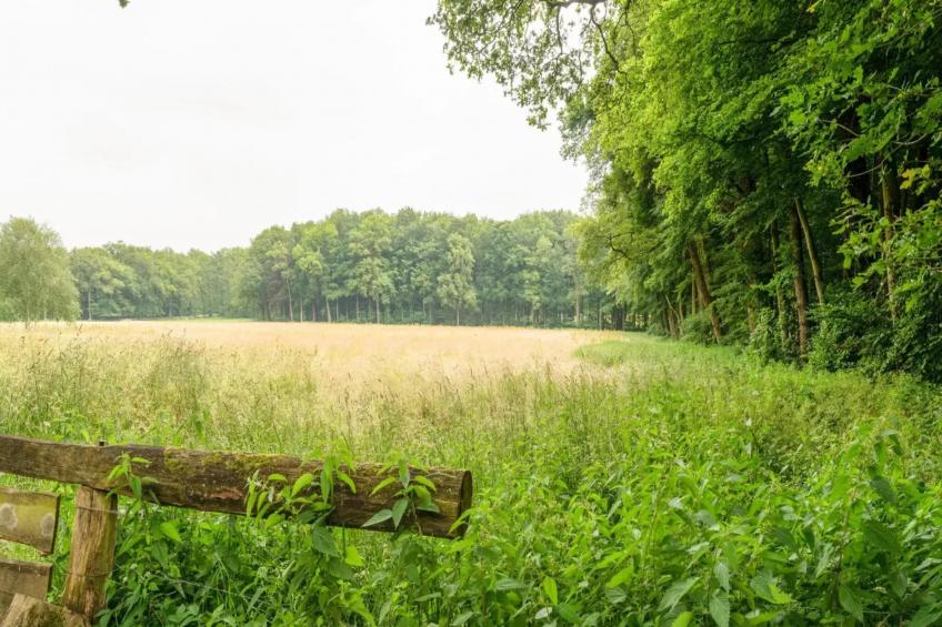 Wellnesshuisje Engelse Tuin - foto 8
