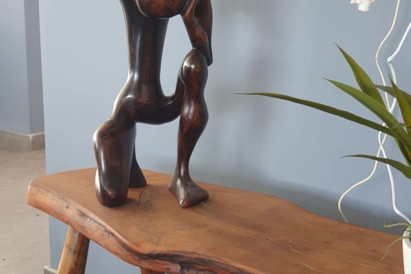 Finca mit Garten, Grill und Terrasse - foto 48