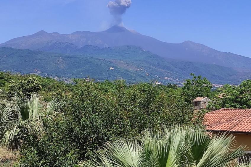 Le Palme in linera - foto 30