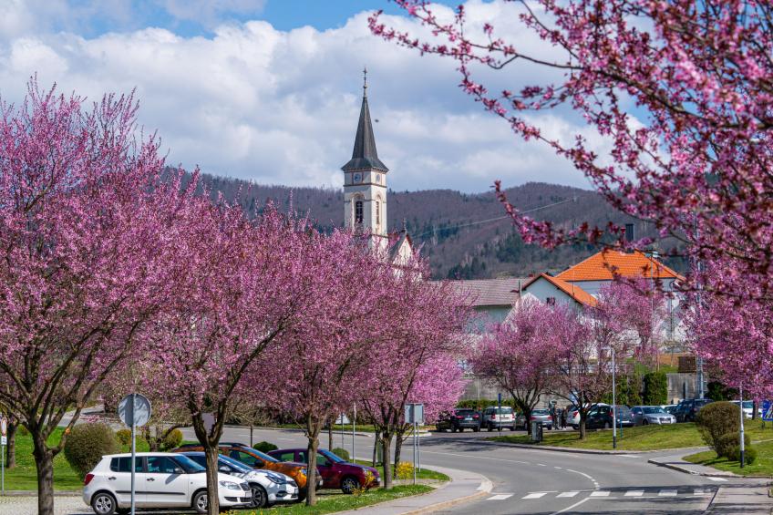 mit Terrasse, Grill und Garten - foto 56