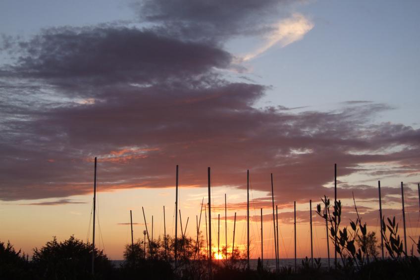 Villa al mare-Camelia - foto 16