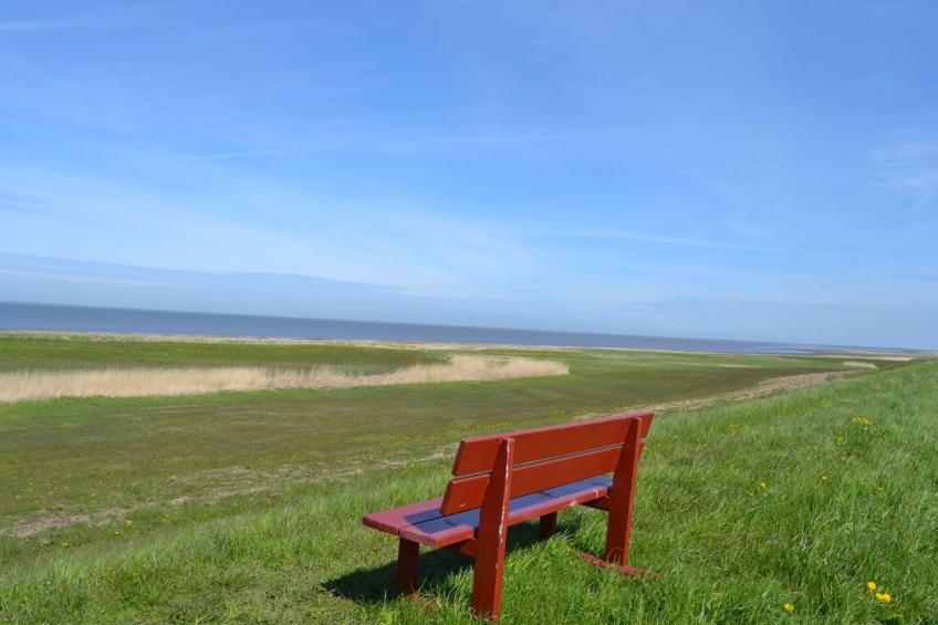 "Adine" in Western Jutland - foto 4