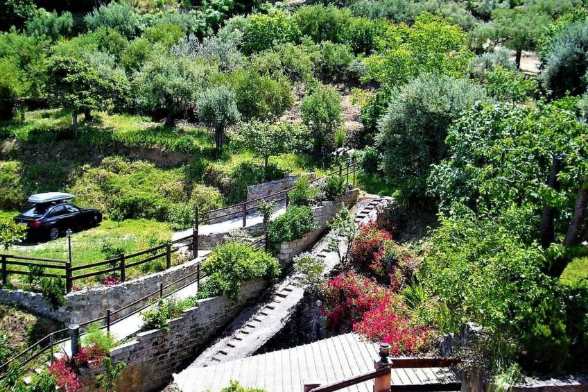 Flache Zeder - foto 22