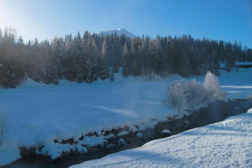 Chesa Piz d'Esan - foto 14