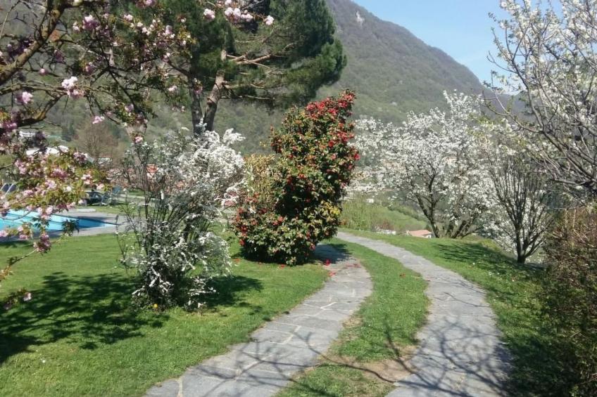 casa primavera - foto 14