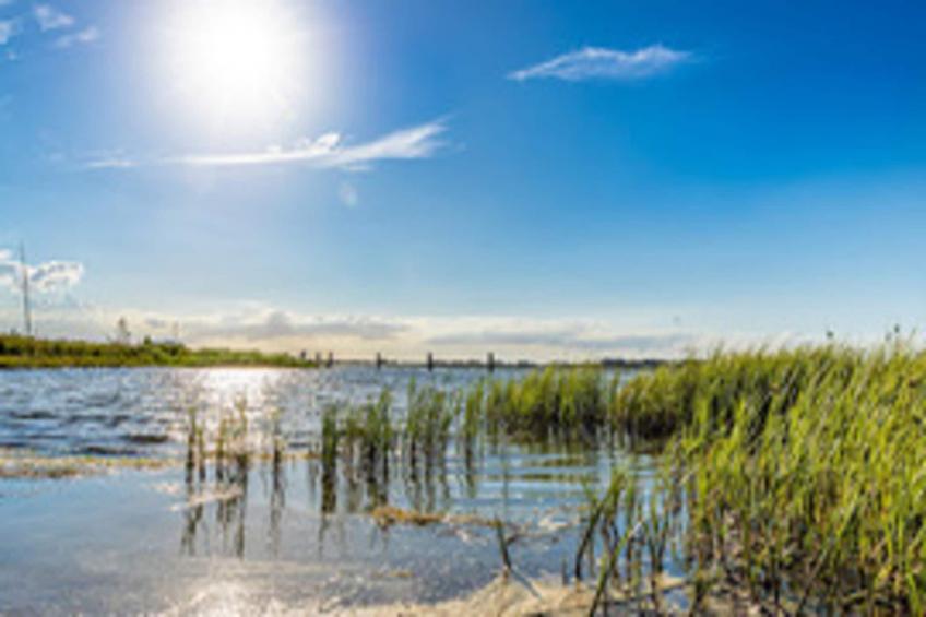 Holiday home Lotsenhaus, Vieregge - foto 22