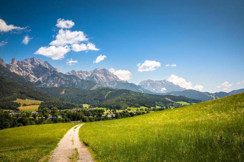 2 Schönes Apartment in Saalfelden-Pinzgau - foto 15