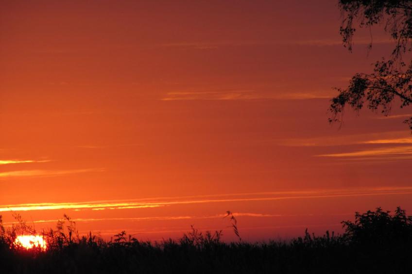 Schönes Ferienhaus mit Terrasse und Grill - foto 9