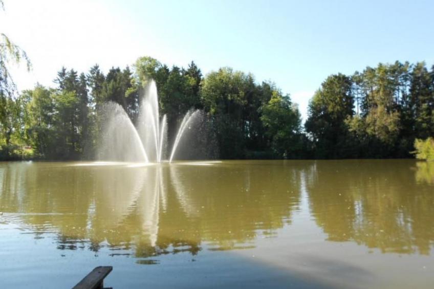 Gemütliche Ferienwohung mit großem Garten - foto 14