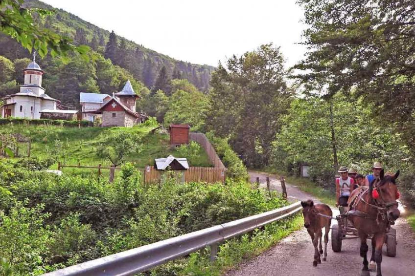 Casa Lopo - traditioneller, gemütlicher Bauernhof - foto 50