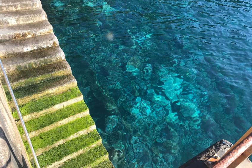 mit Blick auf das Wasser - foto 32