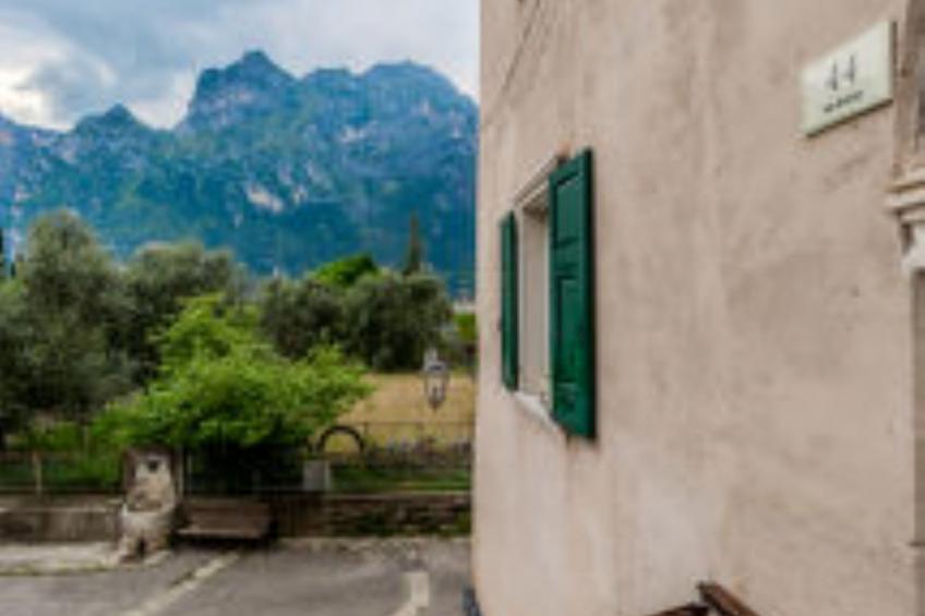 Tra gli Ulivi - foto 20